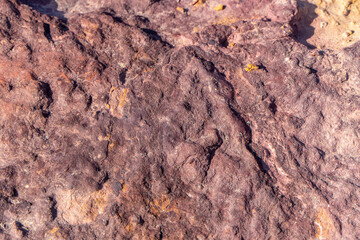 Colorful surface of mineralized stone. Ramon crater. Desert of the Negev. Selective focus