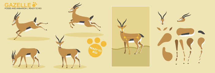 Cute animation Gazelle, ready to animate and rig, collection of poses, set for animation, Gazelle jumping, safari animals, vector collection, set. 