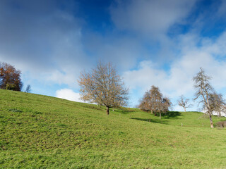 Landschaften des Margräflerlandes in Herbstfarben. Hügel, Wiesen und Buchenwälder unter blauem Himmel im Kanderntal am Fuße des Schwarzwaldes
