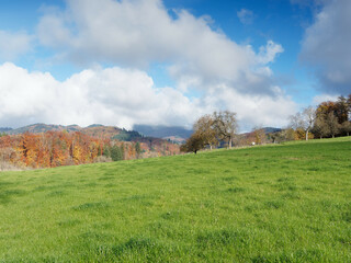 Obraz premium Herbstlandschaft unter blauem Himmel rund um Kandern am Fuße des Schwarzwaldes im Markgräflerland