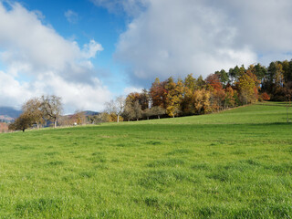 Herbstfarbene Landschaften im Kanderntal. Wandern entlang Nussackerweg oben Landstrasse 132 zwischen Sitzenkirch und Kandern am Fuße des Schwarzwaldes in Baden-Württemberg