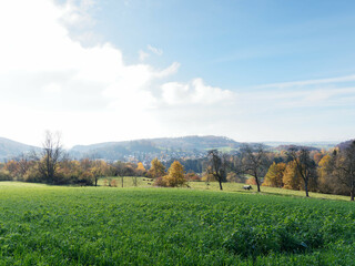 Blick auf Kandern, Kleinstadt im Landkreis Lörrach in Baden-Württemberg im Markgräflerland am...