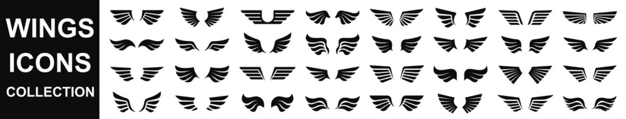 Wings icons set. Set of black wings icons. Wings badges. Set of wings icons. Simple set of wings vector icons. Vector illustration