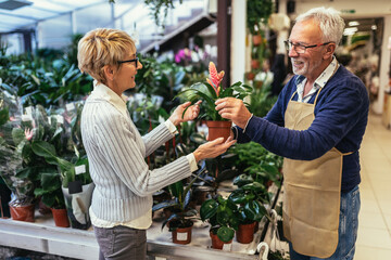 Senior woman buying flowers at the local flower shop.