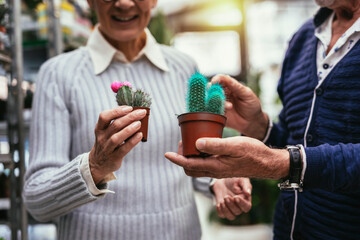 Senior couple are choosing potted plant at garden center.