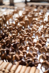 SAPDI_WOODWORK_01