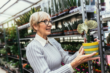 Senior woman buys flowers in flower shop.