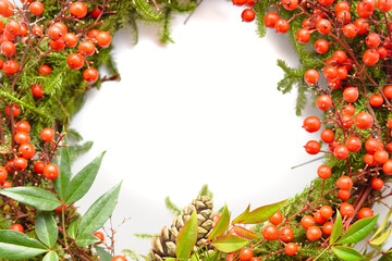 wreath of Nandina berries in white background