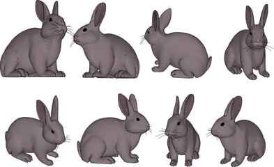 white background Rabbit design collection1