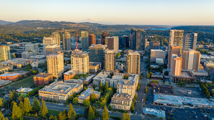 Naklejka premium Aerial Views of Bellevue City Washington, USA