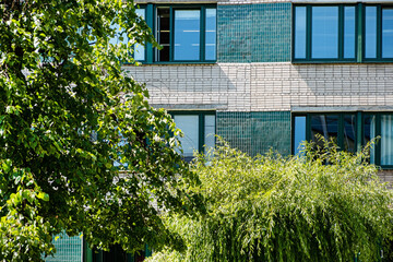 trees near old building, summer season
