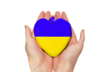 Ukraine flag like heart in hands in PNG isolated on transparent background. Ukrainian flag