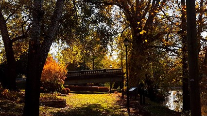 Obraz premium bridge in autumn park