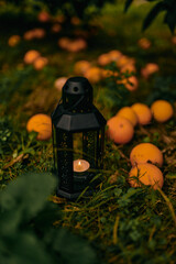 a glass lamp with candles against the backdrop of an orange orchard and Christmas lights - 552101511