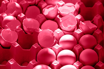 Paper tray full of fresh eggs and broken eggs, farm eco friendly products. Beautiful viva magenta color background.
