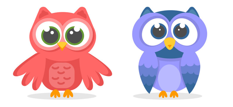 Blue and pink owl in flat style vector illustration