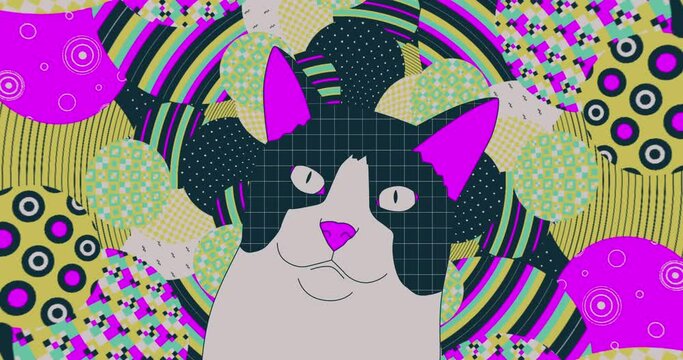 Fashion loop animation. Stylish kitty illustration. Retro party vibes
