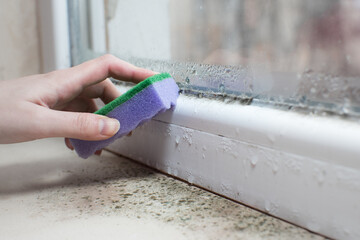 Black mold fungus growing on windowsill. Dampness problem concept. Condensation on the window.