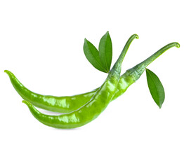 Fresh green chillis with lesves on transparent