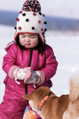 柴犬と雪遊びをする女の子