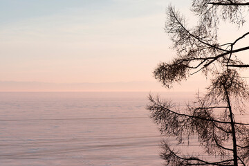 Fototapeta na wymiar Silhouettes of Trees Against the Backdrop of a Sunset on a Frozen Winter Lake.