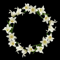 round wreath of flowers and leaves of white tulips, isolated on a transparent background