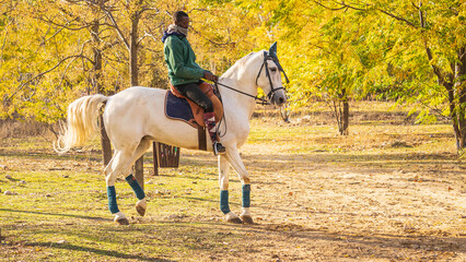 jinete africano montando caballo