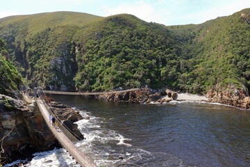 suspension bridge over storm river, tsitsikamma national park, south africa, garden route