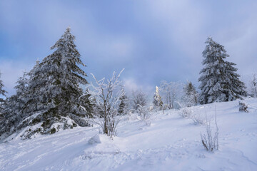 Fototapeta na wymiar Snow-covered landscape on the Großer Feldberg in the Taunus/Germany