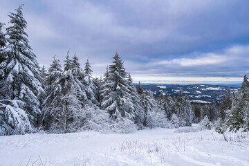 Fototapeta na wymiar Snow-covered landscape on the Großer Feldberg in the Taunus/Germany