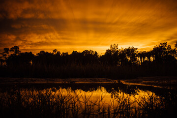 Obraz premium sunset over the pond