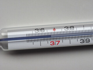 body temperature thermometer