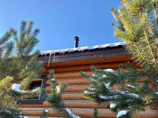 Close-up of a wooden log house in a winter pine forest. Chalet among snow-covered firs on a sunny winter day. Expensive suburban real estate. Wooden cottage in a coniferous forest against the blue sky