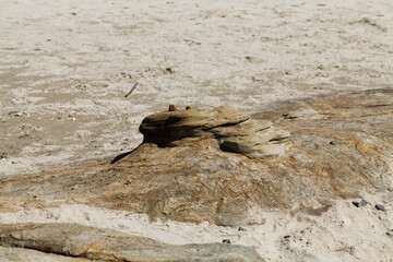 Wind And Water Sculpted Rock On Sand Beach