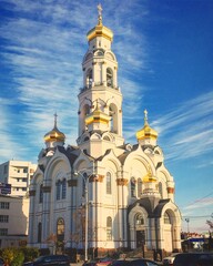 cathedral of christ the savior