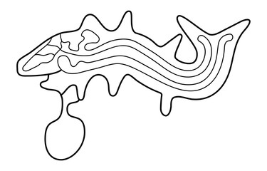 Geoglyph of the killer whale from Nazca on transparent background