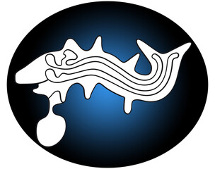 Geoglyph of the killer whale from Nazca