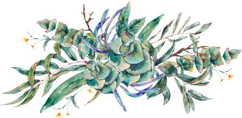 Watercolor eucalyptus, tropical leaves and succulents, botanical natural vintage illustration transparent png - 552137917