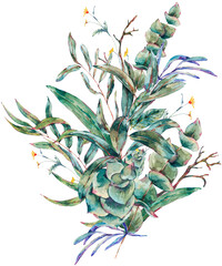 Watercolor eucalyptus, tropical leaves and succulents, botanical natural vintage illustration transparent png
