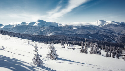Breathtaking Winter Landscape. Sunlight sparkling in the snow. Christmas Scene with Falling snow. Holiday winter landscape background. Postcard. impressively beautiful Winter. Instagram Filter