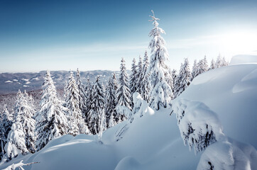 Wonderful Winter Landscape. Awesome Alpine Highlands in Sunny Day. Christmas holyday concept. Winter mountain forest. Snowy mountains and perfect blue sky. Amazing Nature background. postcard