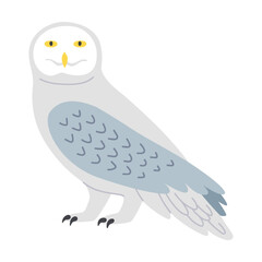 White owl cartoon illustration. Predatory bird or beautiful flying creatures isolated on white background