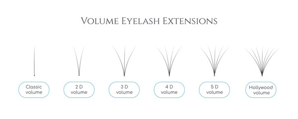 Vector bunch of artificial eyelashes for volume lash extensions. Professional lashmaker guide for training different types of bunches. Tweezing materials for salon beauty procedure - obrazy, fototapety, plakaty