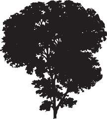 European Elm Vector 