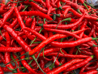 Red Hot Chilie Peppers