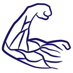 Male arm with muscles minimal vector icon drawn with brush line. Blue linear medical pictogram isolated on transparent background