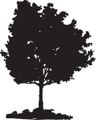 Wallnut Vector 