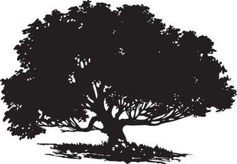 Old Apple Tree Vector 