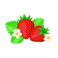 Strawberry cartoon illustration. Fresh ripe red berries with flowers isolated on white background