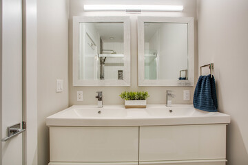 Naklejka na ściany i meble Dual Bathroom Vanity